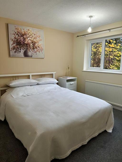 Stylish 2 Bedrooms Flat In A Quiet Cul-De-Sac Area, Near Sheffield City Centre With Free Parking Екстер'єр фото